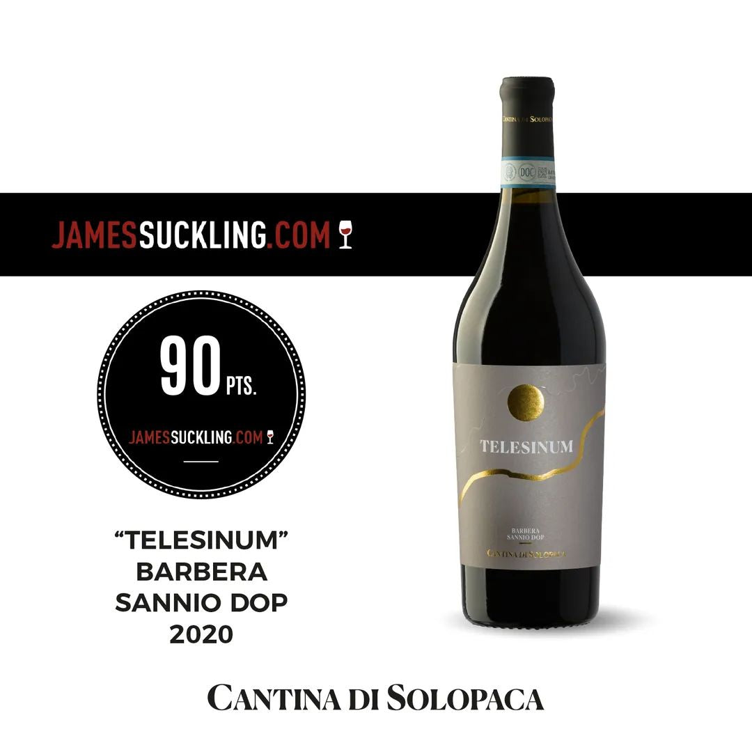 “Telesinum” Barbera Sannio 2021 D.O.C