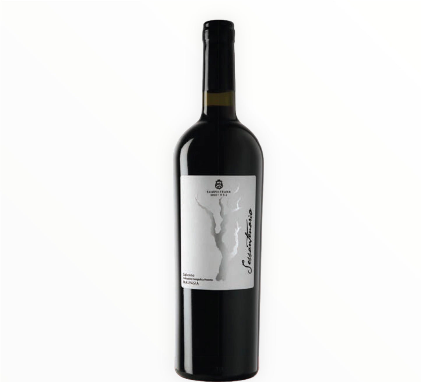 Salento Malvasia 2022 IGP