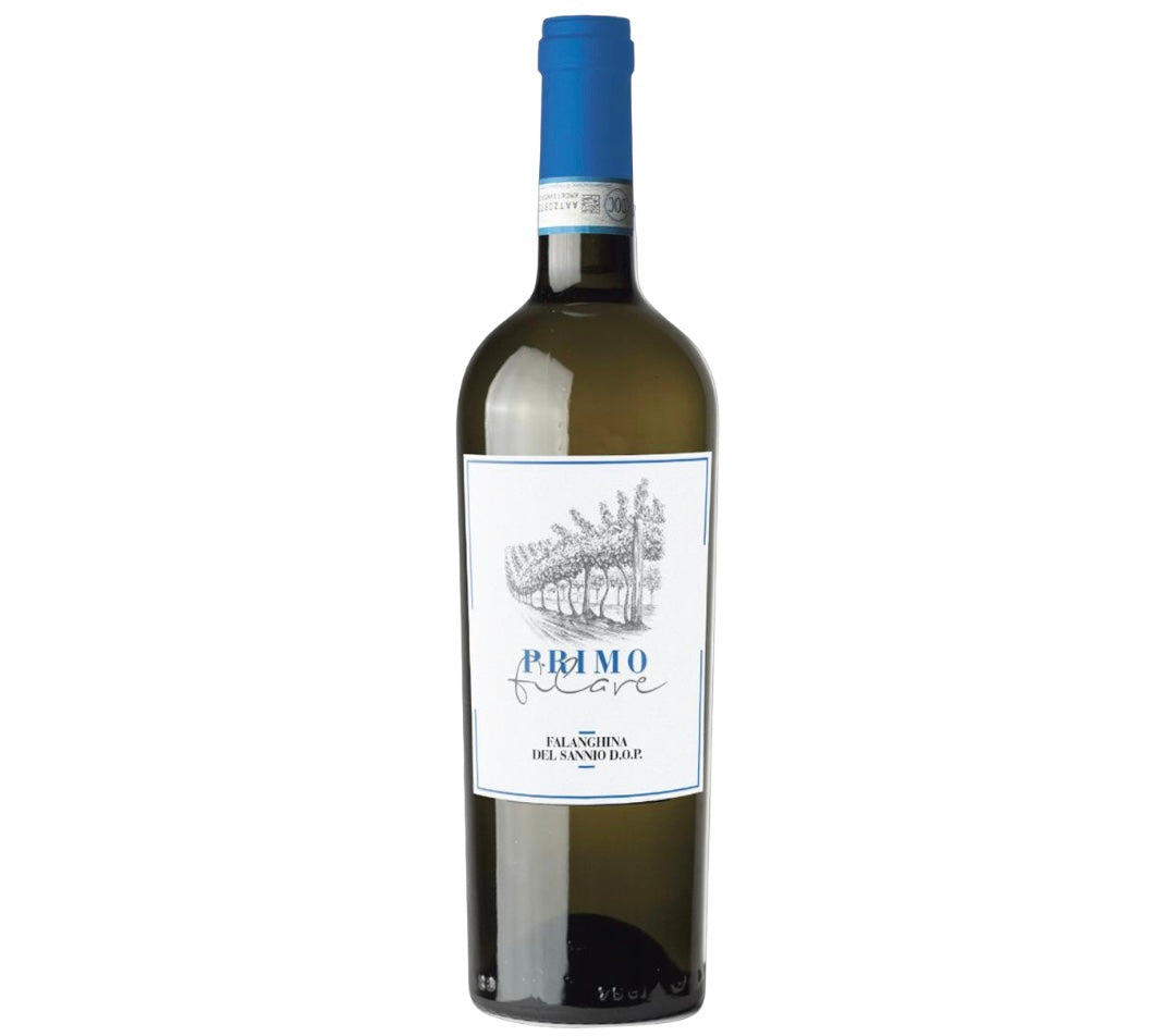 Primo Filare Falanghina del Sannio D.O.C 2024
