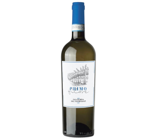 Primo Filare Falanghina del Sannio D.O.C 2024