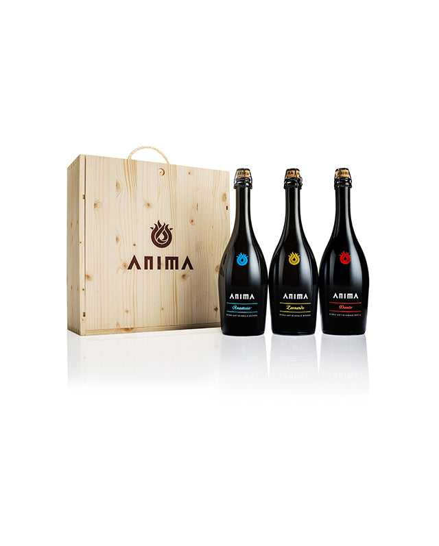 Luxury Gift Craft Beer Box 3 Bottle